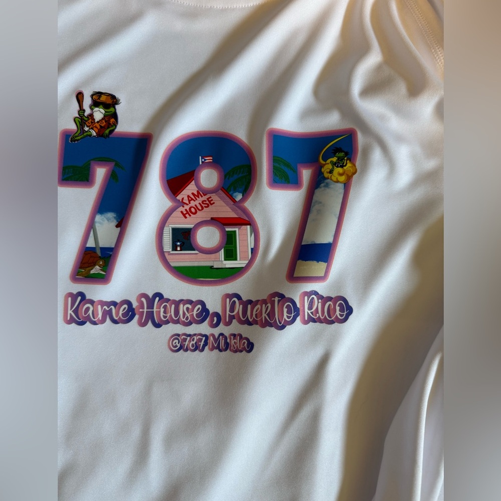 Large Puerto Rico Dragonball Z Kame House Master Roshi Coqui